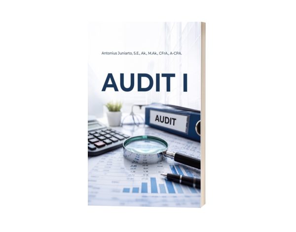 Audit I